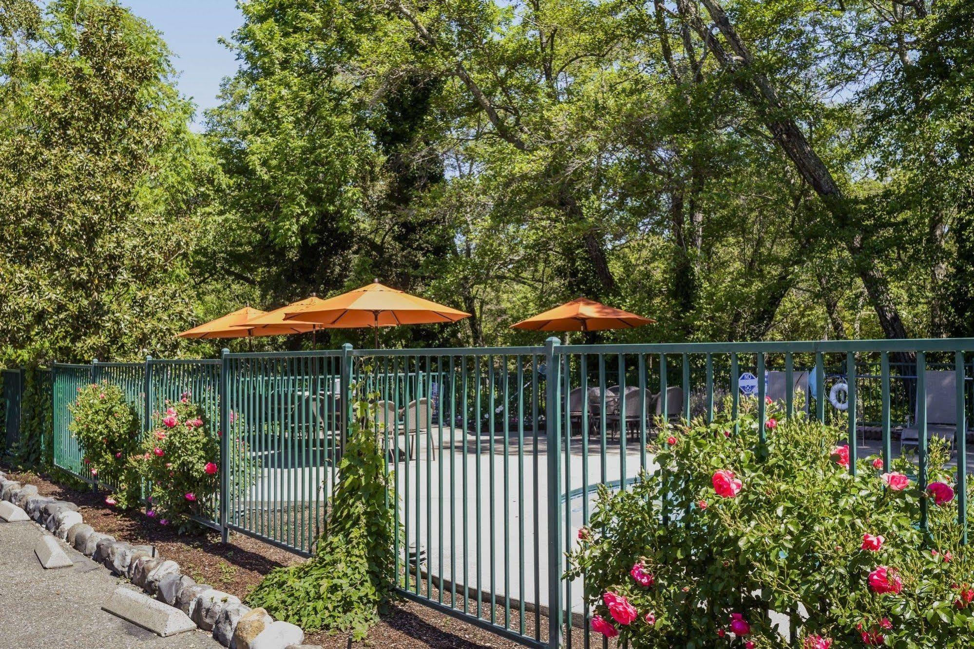 The Jack London Lodge Glen Ellen Esterno foto